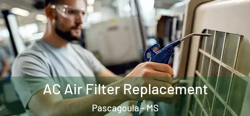  AC Air Filter Replacement Pascagoula - MS