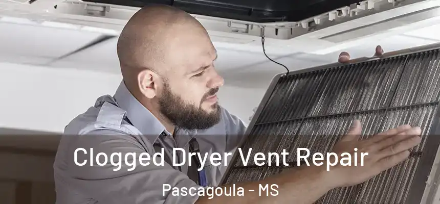  Clogged Dryer Vent Repair Pascagoula - MS