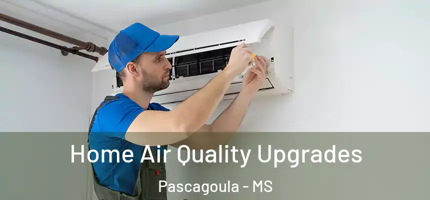  Home Air Quality Upgrades Pascagoula - MS