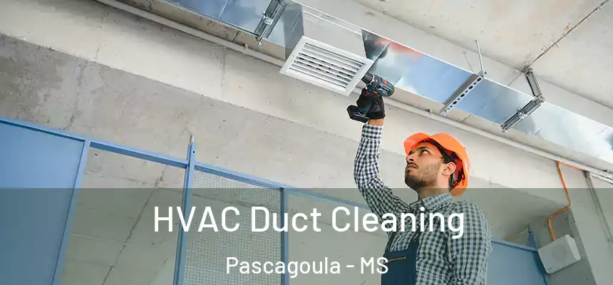  HVAC Duct Cleaning Pascagoula - MS