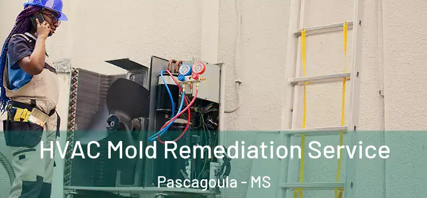 HVAC Mold Remediation Service Pascagoula - MS