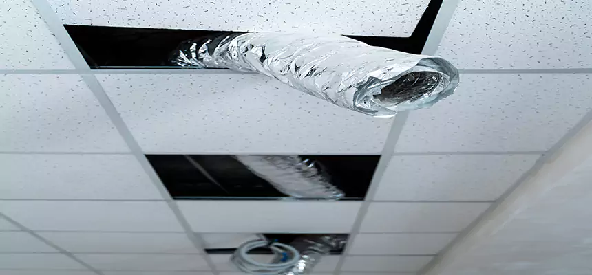 Our Air Duct Pet Hair Removal Services in Pascagoula, MS