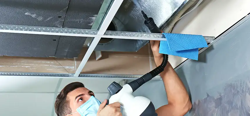 Our Air Duct Rodent Removal Services in Pascagoula, MS