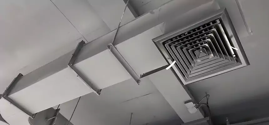 Restorative Allergy Relief Vent Cleaning – Coil, Blower & Housing Detail in Pascagoula