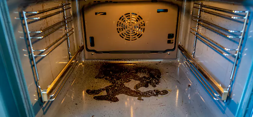 Our Dryer Vent Mold Cleaning Services in Pascagoula, MS