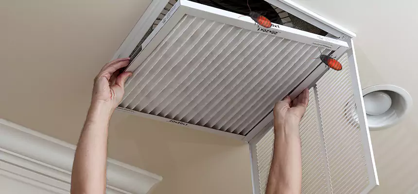 Our Insect Removal from Air Ducts Services in Pascagoula, MS