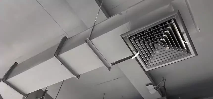 Our Pest Removal From Ducts Services in Pascagoula, MS