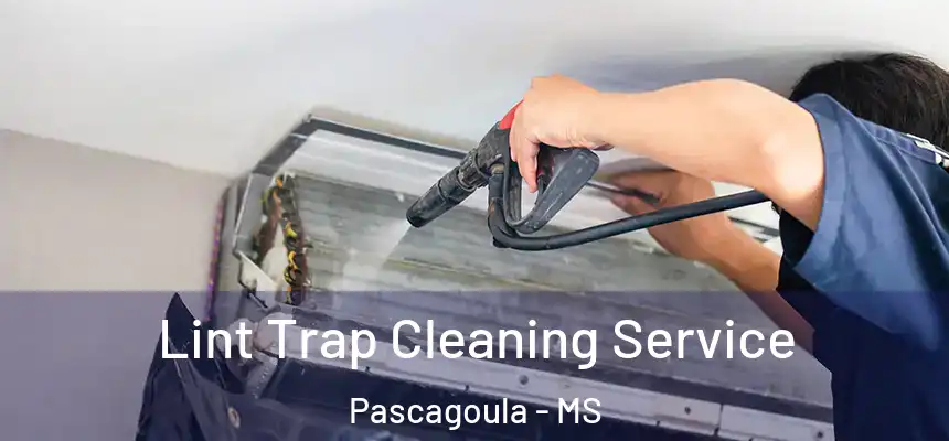  Lint Trap Cleaning Service Pascagoula - MS