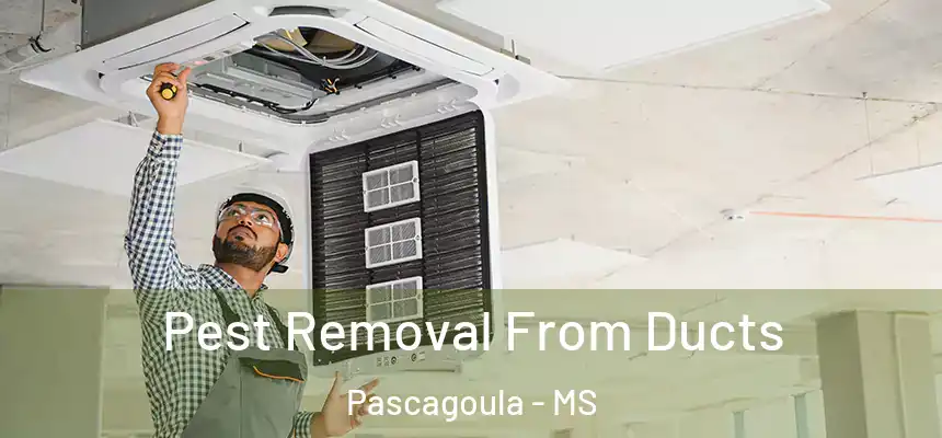  Pest Removal From Ducts Pascagoula - MS
