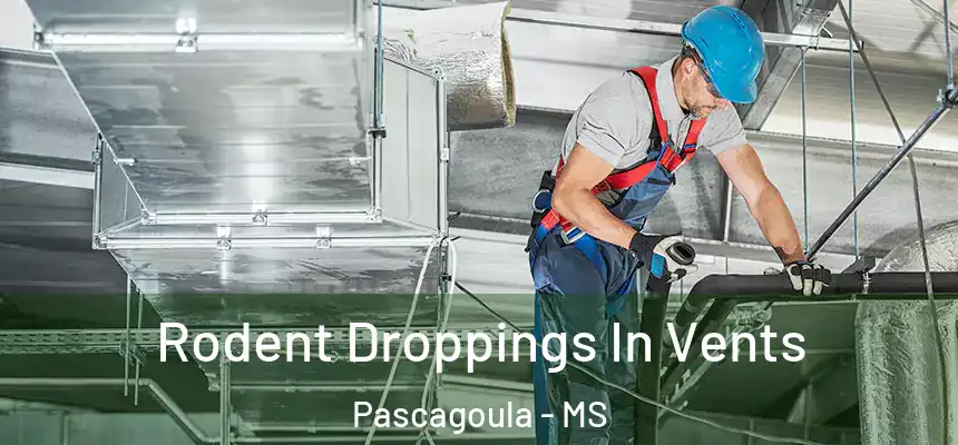 Rodent Droppings In Vents Pascagoula - MS