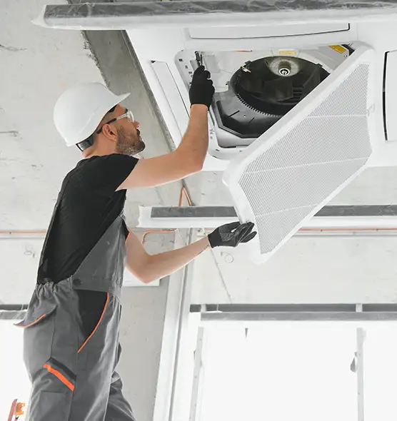 About Air Duct Rodent Removal in Pascagoula, MS