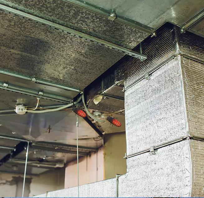 Why Homeowners & Businesses Trust Us in Pascagoula, MS?