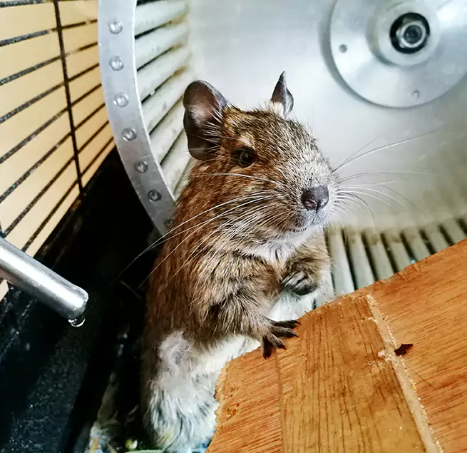 Why Homeowners & Businesses Trust Us Pascagoula, MS