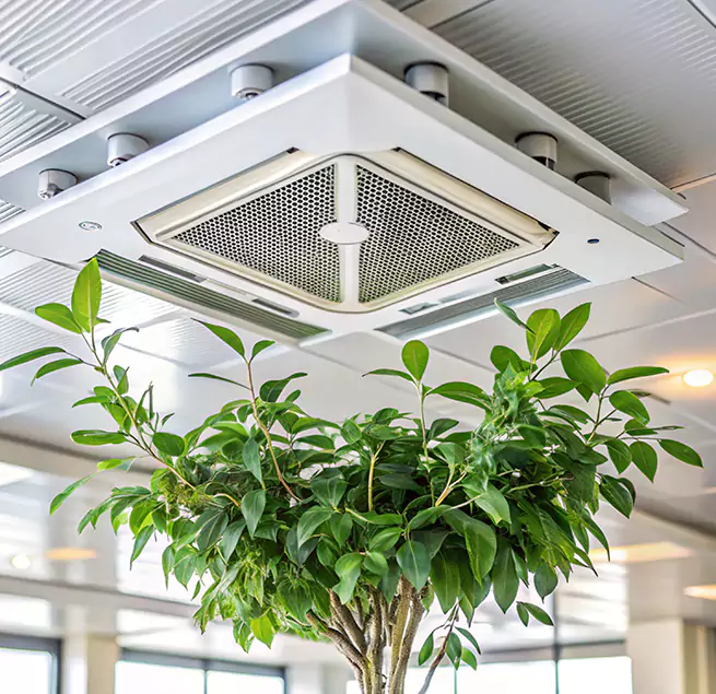 Why Homeowners & Businesses Trust Us in Pascagoula, MS?