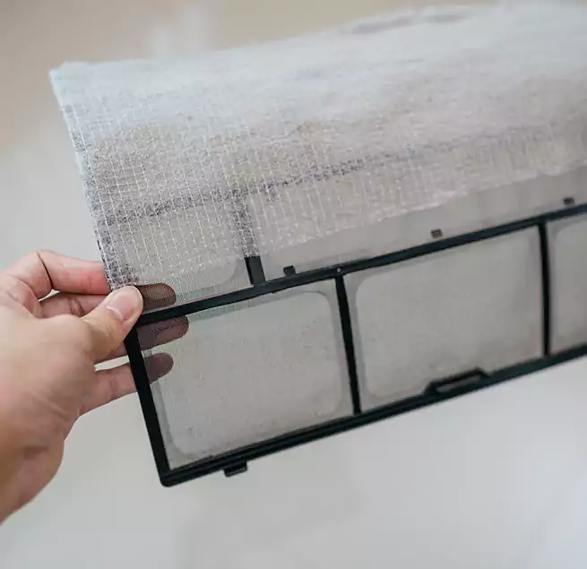 Why Homeowners & Businesses Trust Us in Pascagoula, MS?