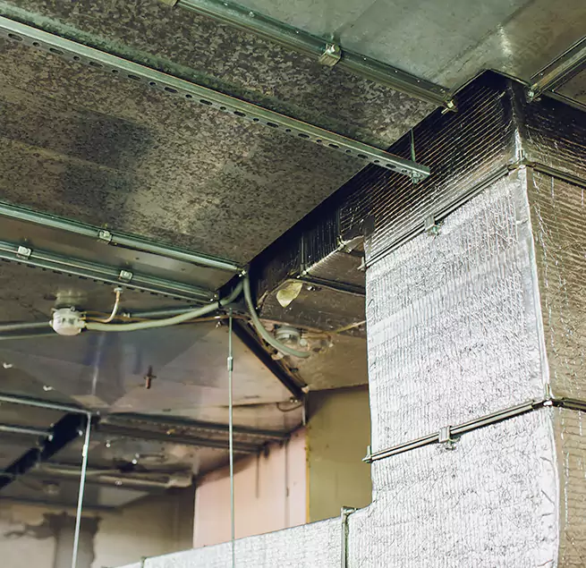 Why Homeowners & Businesses Trust Us in Pascagoula, MS?